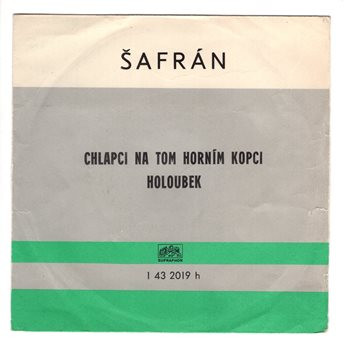 2019 ... VOŇKOVÁ DÁŠA: Chlapci na tom horním kopci / Holoubek (1976)
