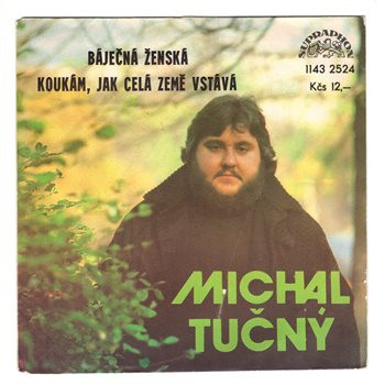 2524 ... TUČNÝ MICHAL: Báječná ženská / Koukám, jak celá země vstává (1981)