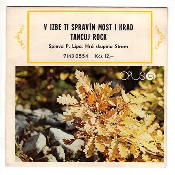 0554 ... LIPA PETER: V izbe ti spravím most i hrad / Tancuj rock (1981)