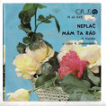 0459 ... KAPITÁN V.LADIMÍR: Neplač / Mám ťa rád (1978)